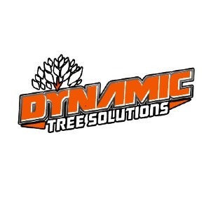Dynamic Tree Solutions