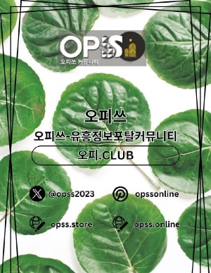 연신내오피 오피쓰.COM 연신내OP