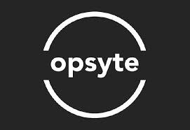 Opsyte