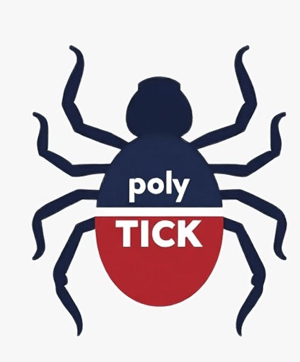 Kirill Gorbounov linkedin